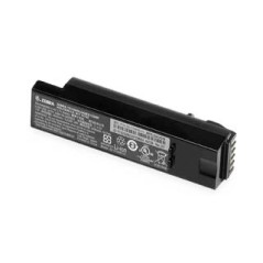 Zebra BATTERY PACK LITHIUM ION 2500M - High Performance, Reliable, Long-Lasting Power Solution (BTRY-DS81EAB0E-00)